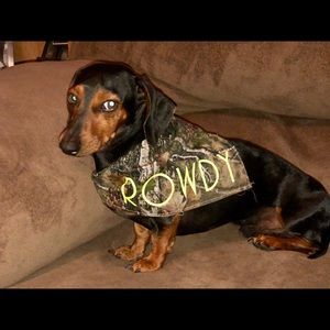 Personalized Pet/Dog Bandana